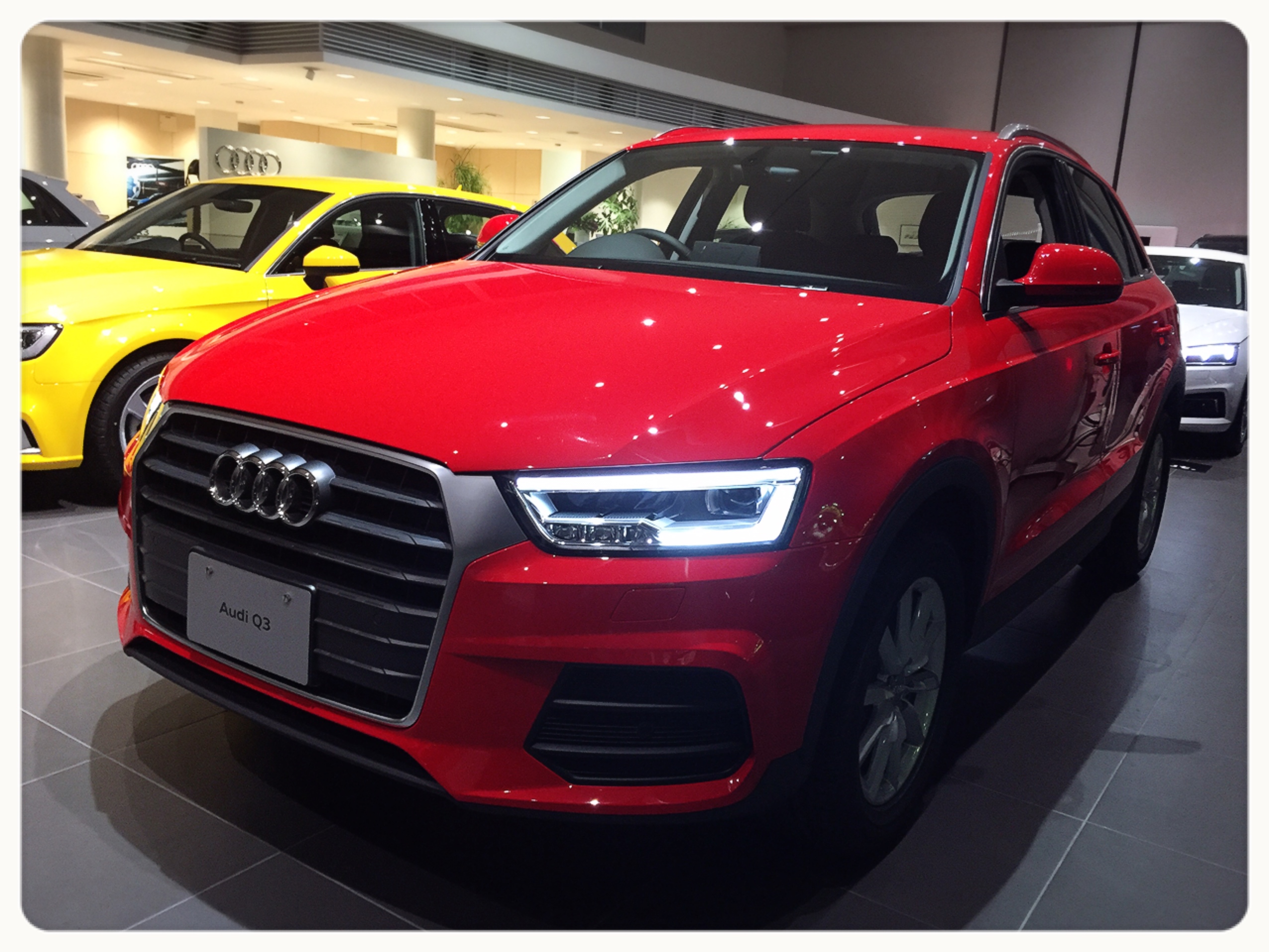 ○○ Audi名東 ミサノレッド Q3 登場 ○○ スタッフブログ｜Audi